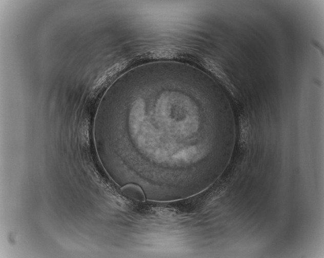 X0000103140681200808221216