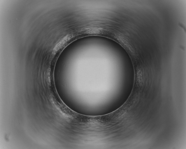 X0000103140682200808221216