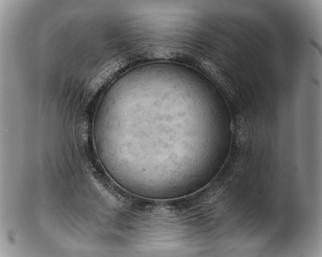 X0000103140683200808221216