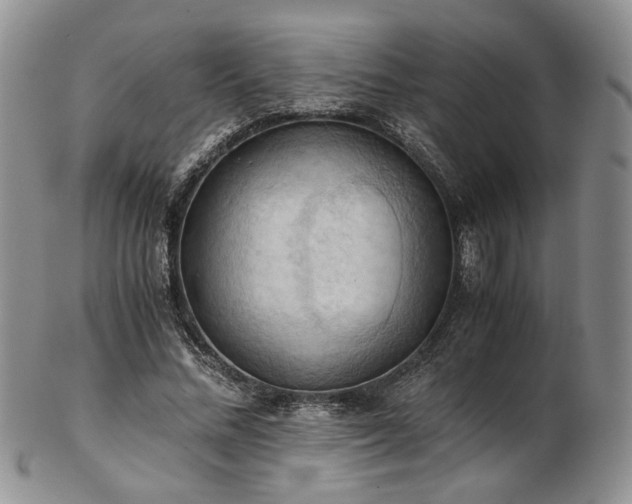 X0000103140684200808221216