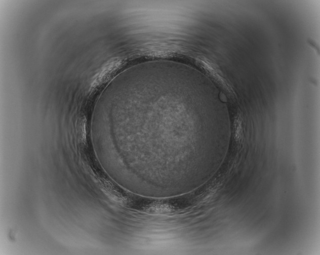 X0000103140685200808221216