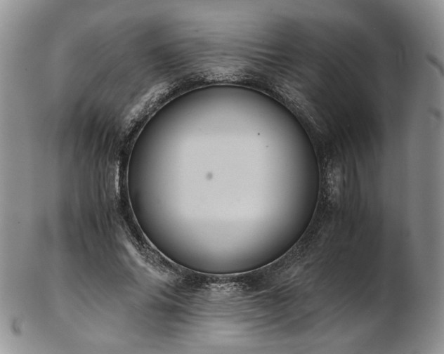 X0000103140686200808221216