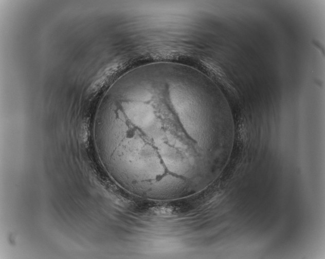 X0000103140687200808221216