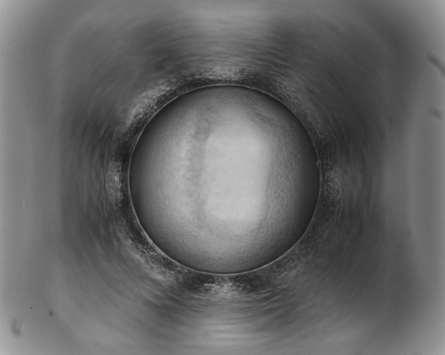 X0000103140688200808221216