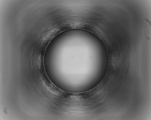 X0000103140690200808221216