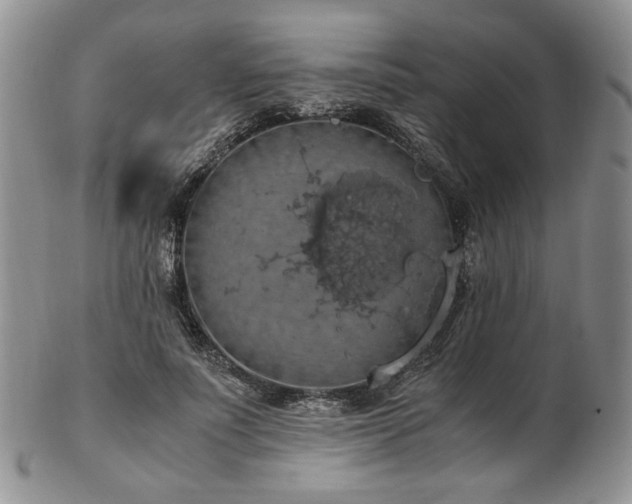 X0000103140691200808221216