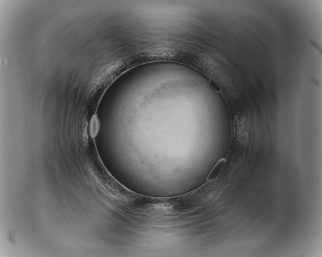 X0000103140692200808221216