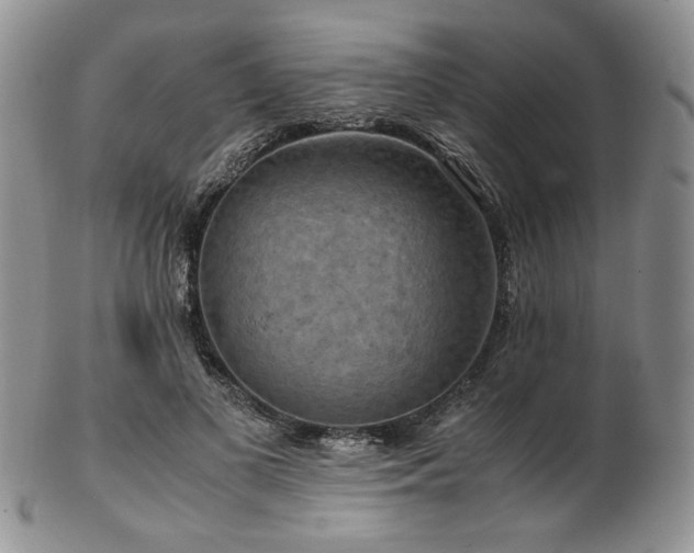 X0000103140693200808221216