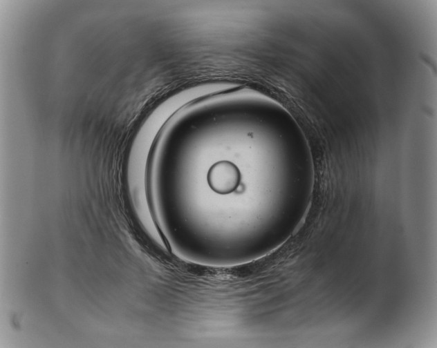 X0000103140695200808221216