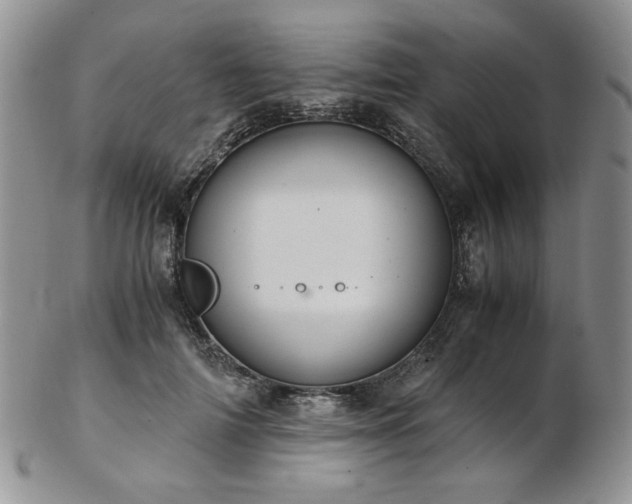 X0000103140698200808221216