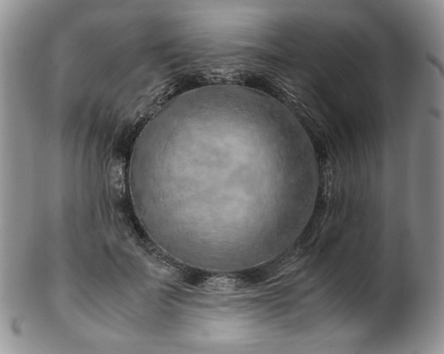 X0000103140699200808221216