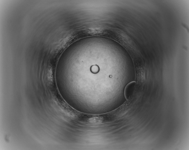 X0000103140700200808221216