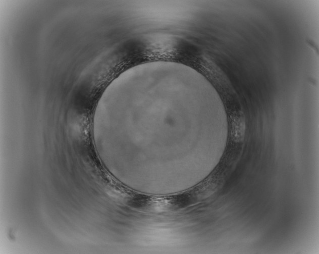 X0000103140701200808221216