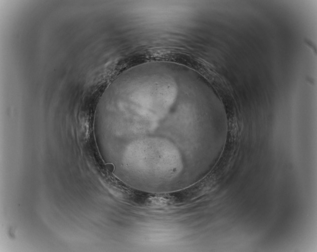 X0000103140703200808221216