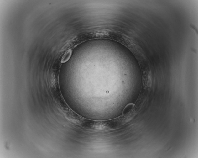 X0000103140704200808221216