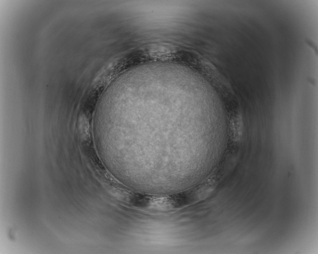 X0000103140705200808221216