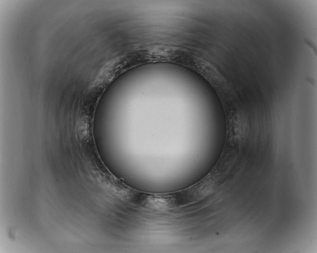 X0000103140706200808221216