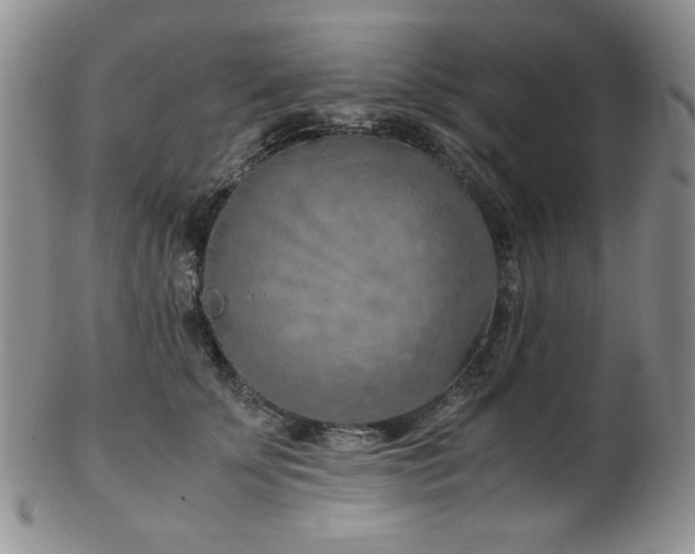 X0000103140707200808221216