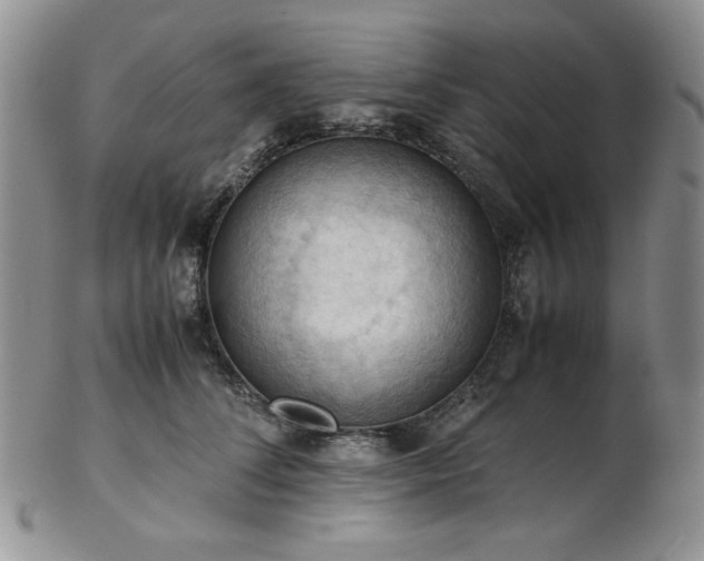 X0000103140708200808221216