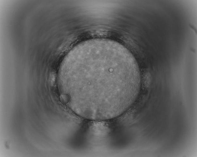 X0000103140709200808221216