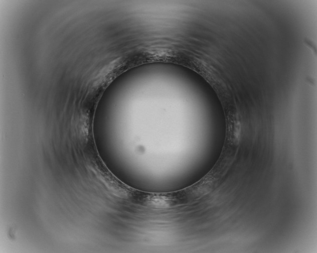 X0000103140710200808221216