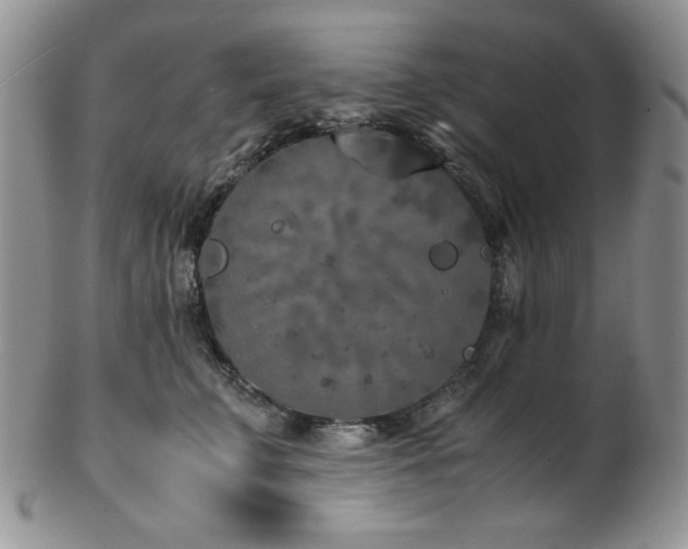 X0000103140711200808221216