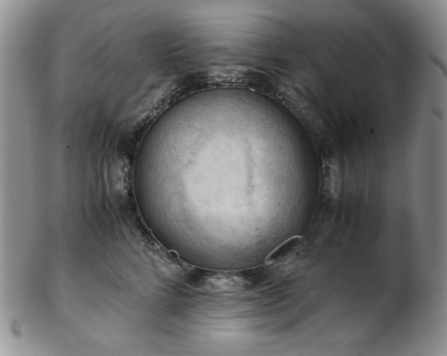 X0000103140712200808221216