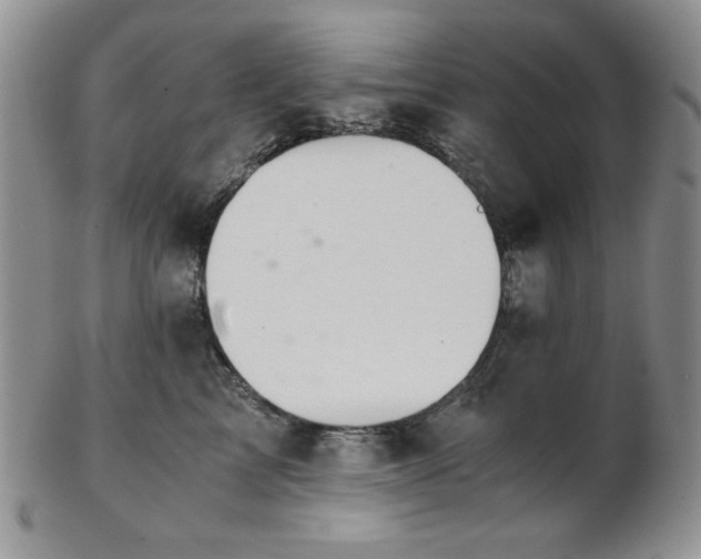 X0000103140713200808221216