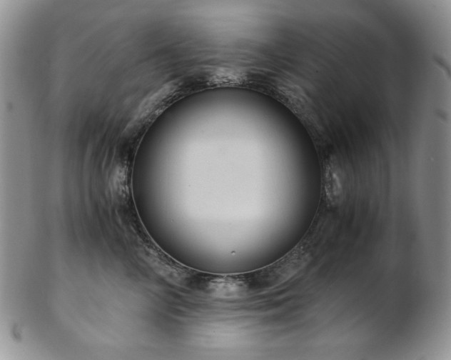 X0000103140714200808221216