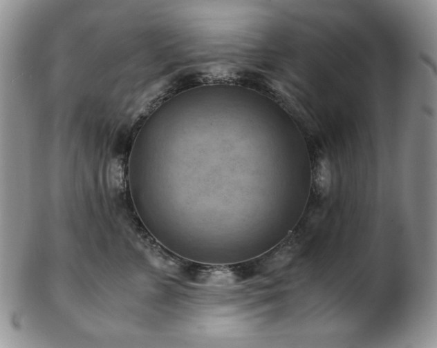 X0000103140715200808221216