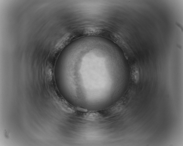 X0000103140716200808221216