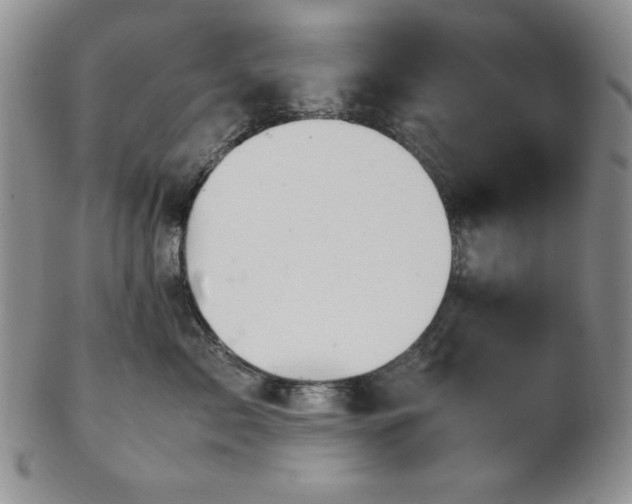 X0000103140717200808221216