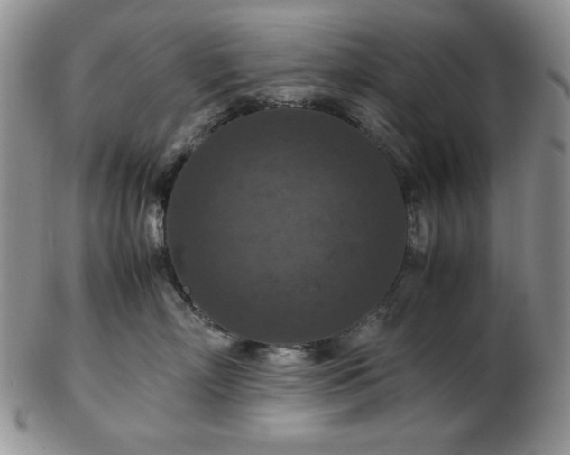 X0000103140718200808221216