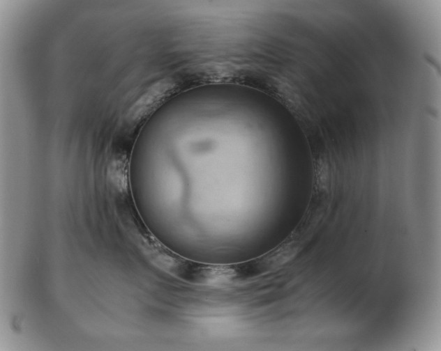 X0000103140719200808221216