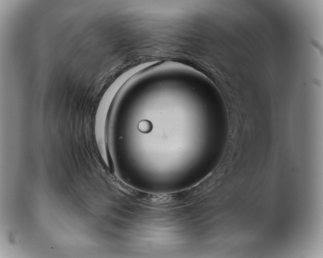 X0000103140720200808221216