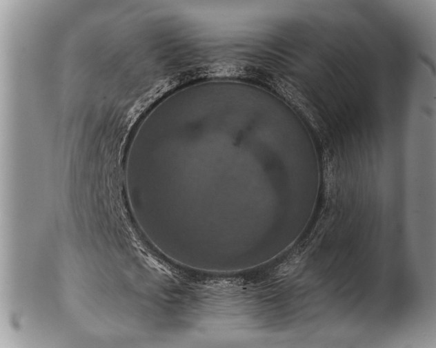 X0000103140721200808221215