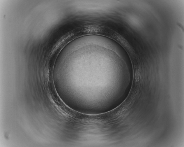 X0000103140722200808221215