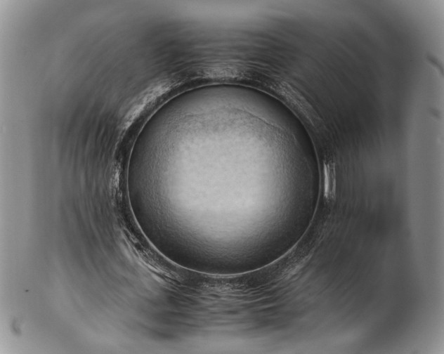 X0000103140723200808221215