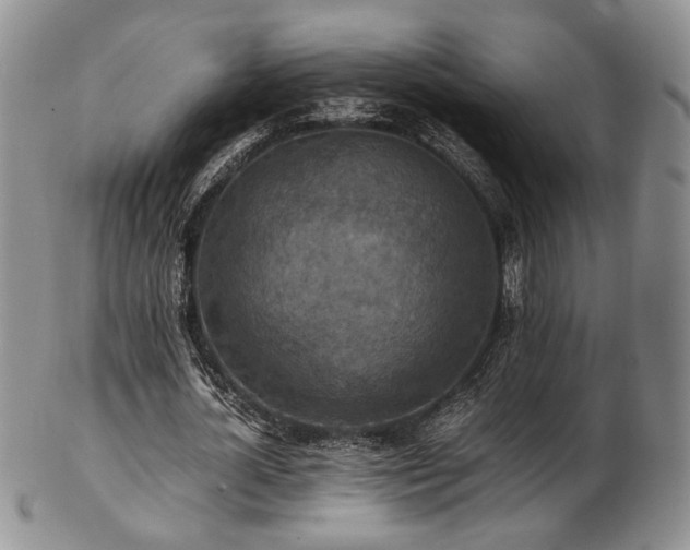 X0000103140724200808221215