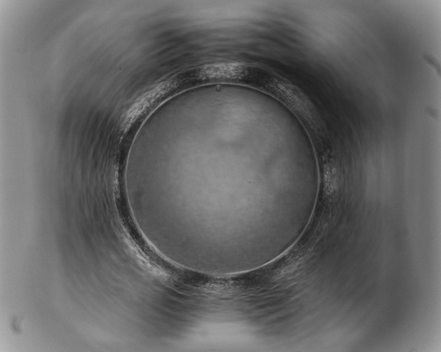 X0000103140725200808221215