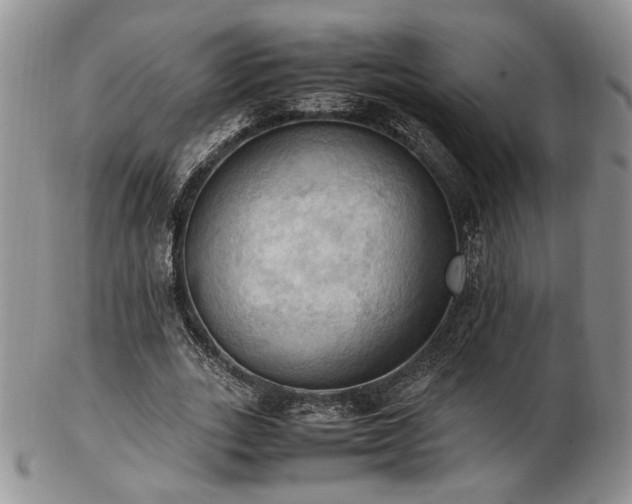 X0000103140727200808221215