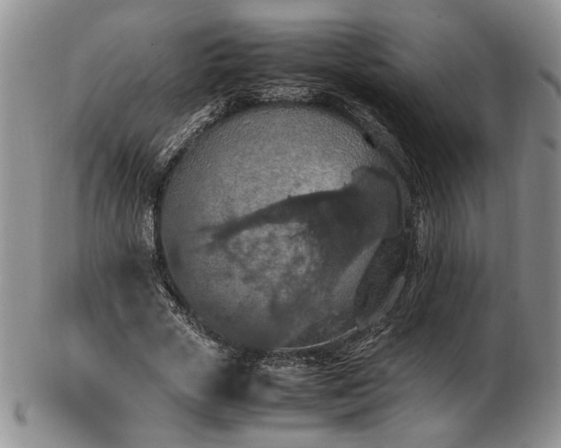 X0000103140729200808221215