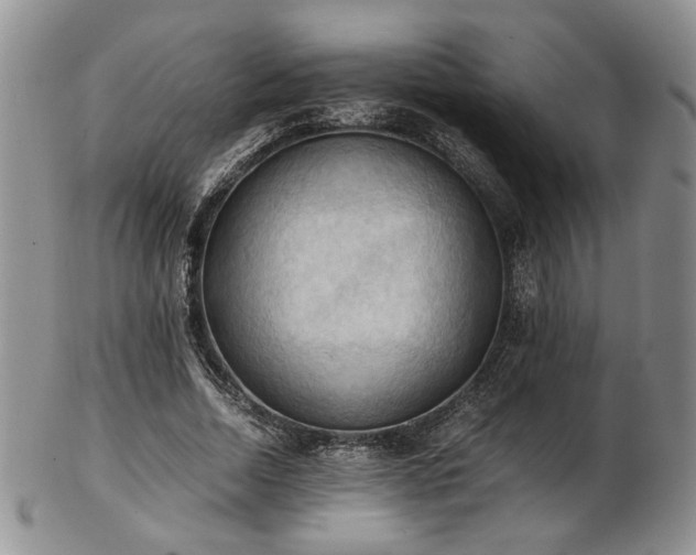 X0000103140730200808221215