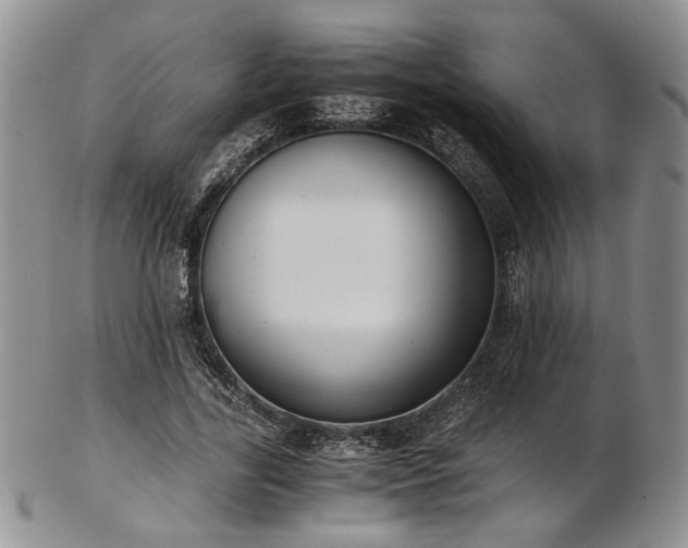 X0000103140731200808221215