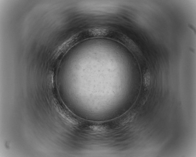 X0000103140733200808221215