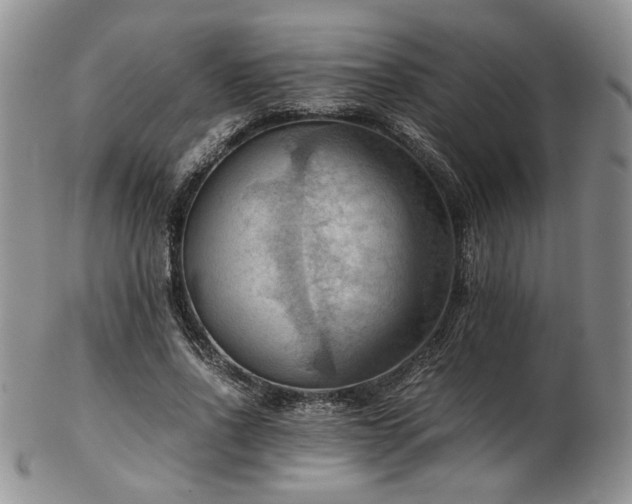 X0000103140734200808221215