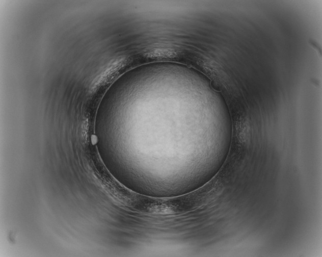 X0000103140735200808221215