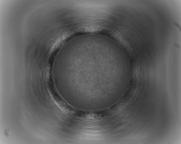 X0000103140736200808221215