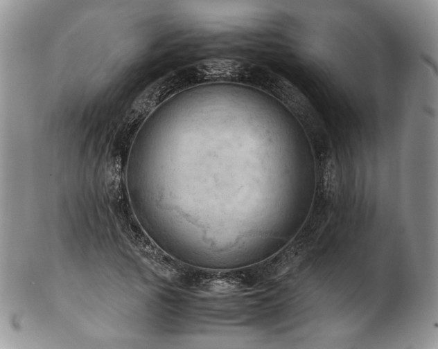 X0000103140737200808221215