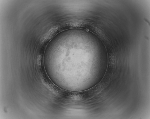 X0000103140738200808221215